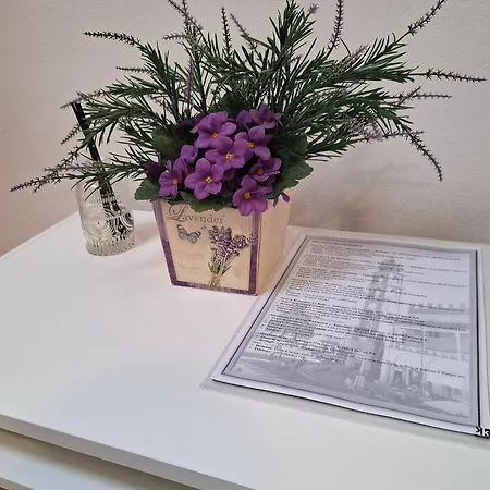 Amazing Serenity Flat For 7, Ac, Historic Center *